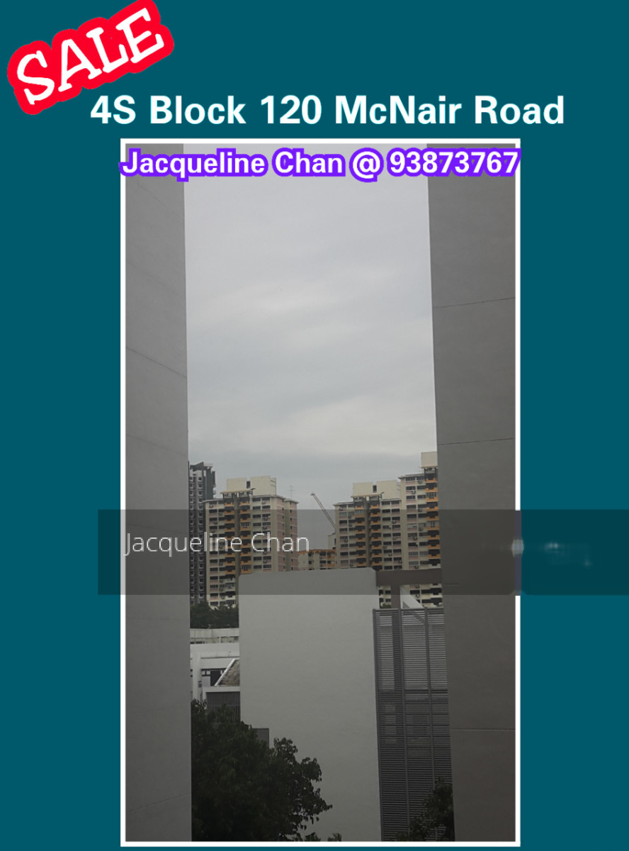 Blk 120 Mcnair Road (Kallang/Whampoa), HDB 4 Rooms #133834002